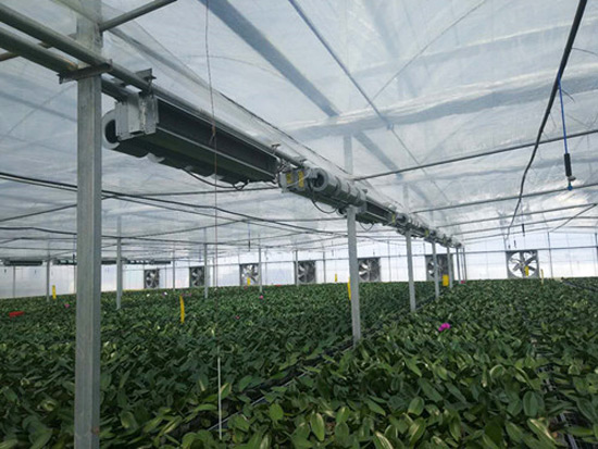 農(nóng)業(yè)種植、養(yǎng)殖供暖系統(tǒng)